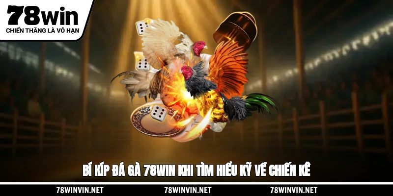 Bí kíp đá gà 78WIN khi tìm hiểu kỹ về chiến kê