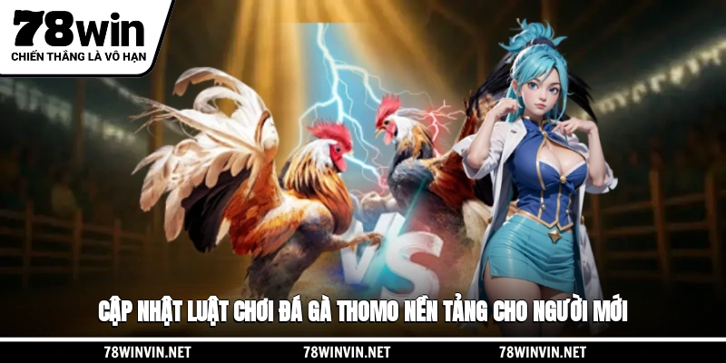 Cập nhật luật chơi đá gà Thomo nền tảng cho người mới