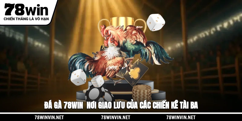 Đá Gà 78WIN - Nơi Giao Lưu Của Các Chiến Kê Tài Ba