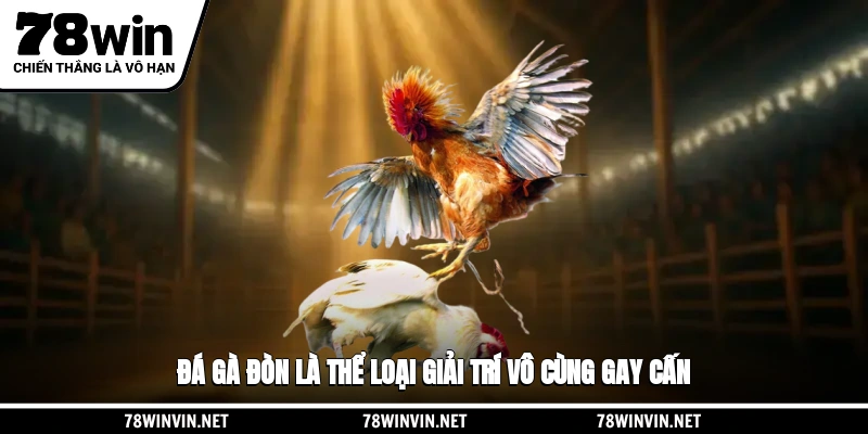 Đá gà 78WIN đòn là thể loại giải trí vô cùng gay cấn