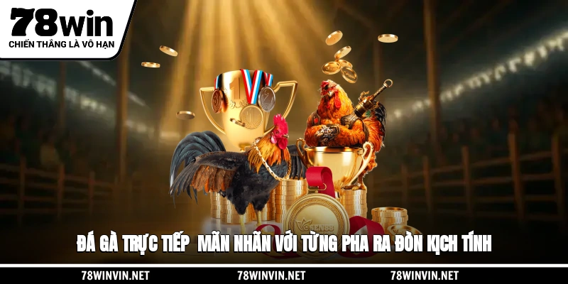 Đá Gà Trực Tiếp - Mãn Nhãn Với Từng Pha Ra Đòn Kịch Tính