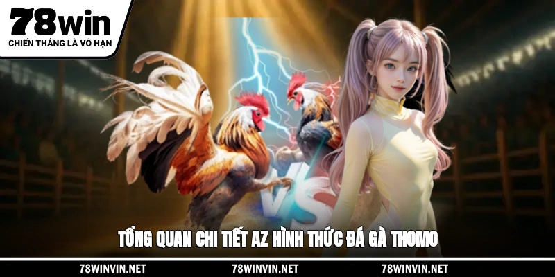 Tổng quan chi tiết A-Z hình thức đá gà Thomo