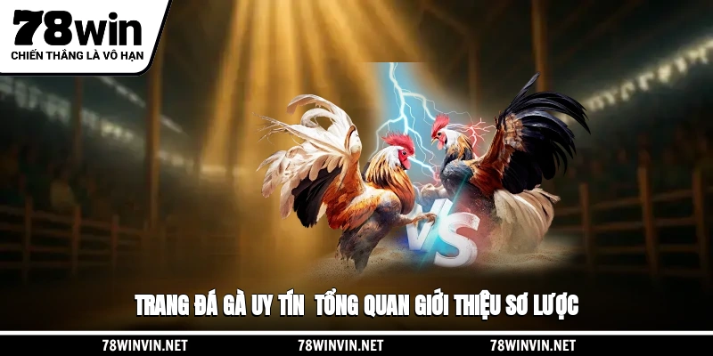 Những tiêu chí xác định trang đá gà uy tín
